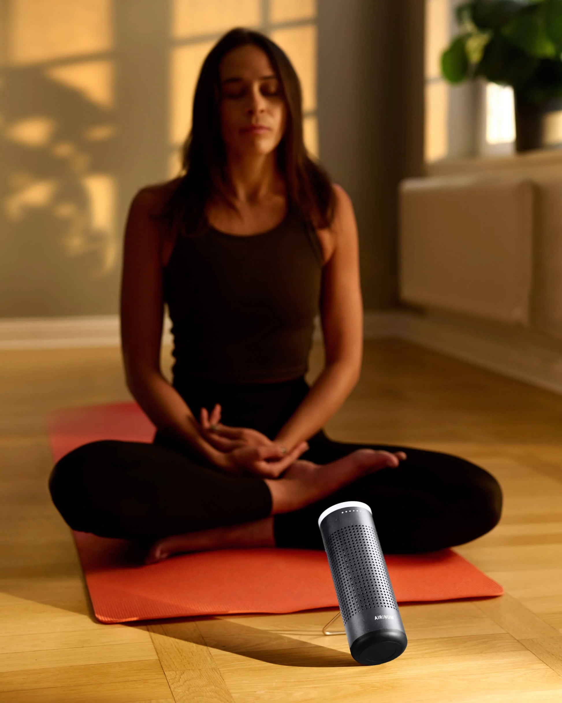 Hale – Personal Air Purifier